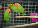 DSCN0127