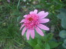 DSCF2097