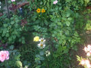DSCF2119