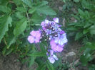 DSCF2123