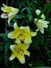 DSCN5502