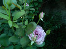 DSCN5507