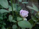 DSCN5512