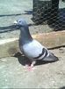 M,2007 ucraina,03474  6316
