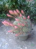 2013-07-07 15.32.38