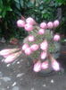 2013-07-07 20.34.54