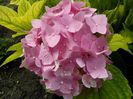 IMG_20130709_162331