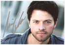 Misha Collins  (16)