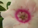 DSCF0227