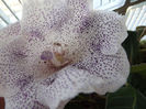 DSCF0099
