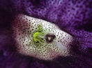 DSCF0105