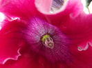 DSCF0197