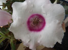 DSCF0467