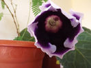DSCF0306