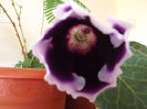 DSCF0307