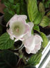 DSCF0447