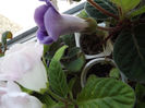 DSCF0657