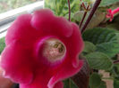 DSCF0487