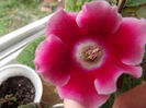 DSCF0580