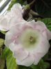 DSCF0609