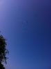 Picture 008