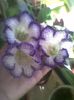 Picture 040