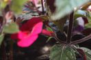 IMG_9651