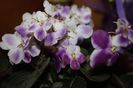 IMG_9686