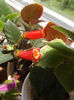 DSCF0202