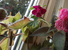 DSCF0360