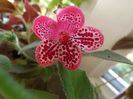 DSCF0357