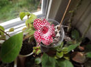 DSCF0587