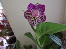 DSCF0618