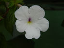 DSCN5553