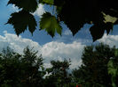 DSCN5560