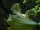DSCN5567