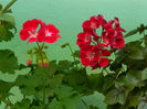 DSCN5571