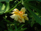 DSCN5581