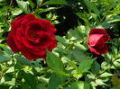 DSCN5583