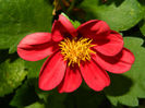 DSCN5585