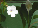 DSCN5589