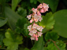 DSCN5603