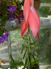 DSCN5612