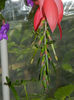 DSCN5616