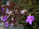 DSCN5618
