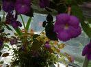 DSCN5619