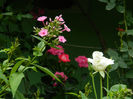 DSCN5631