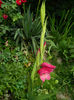 DSCN5637
