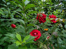 DSCN5644
