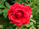 DSCN5645